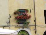 French Lime Plaster aged wall